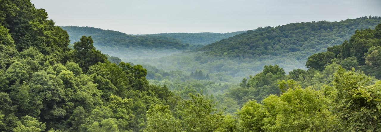 THE MATERIAL OF CHOICE