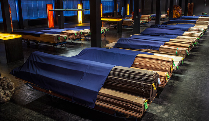 Specialty and exotic veneers